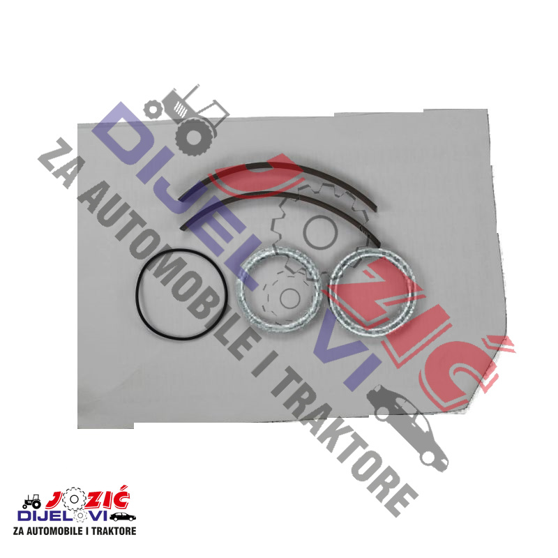 Daisy on the Ohoopee